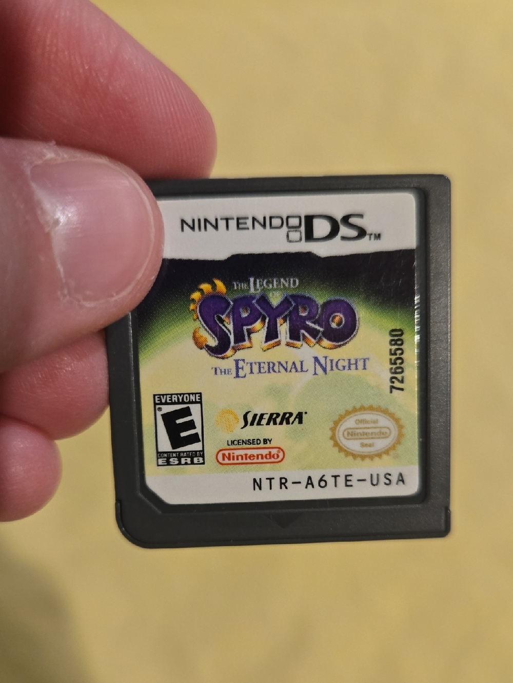 Nintendo DS Spyro And The Enternal Night